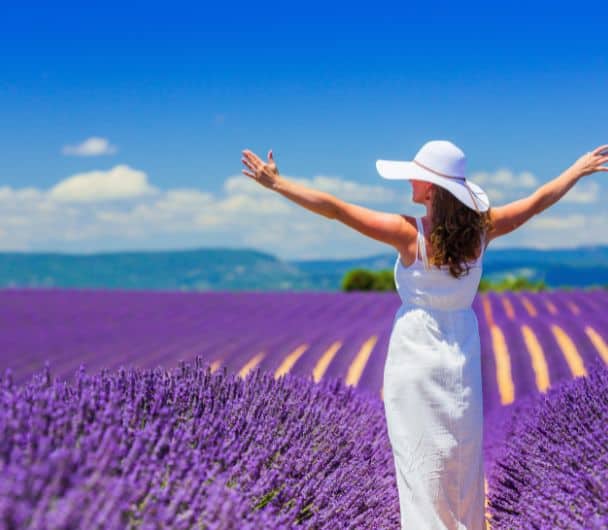 Visuel festival Provence