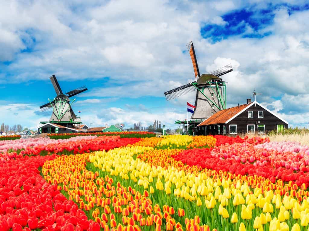 Sourire au soleil, symbole de l’accueil sincère et bienveillant d’Almaya Boutique Hotels